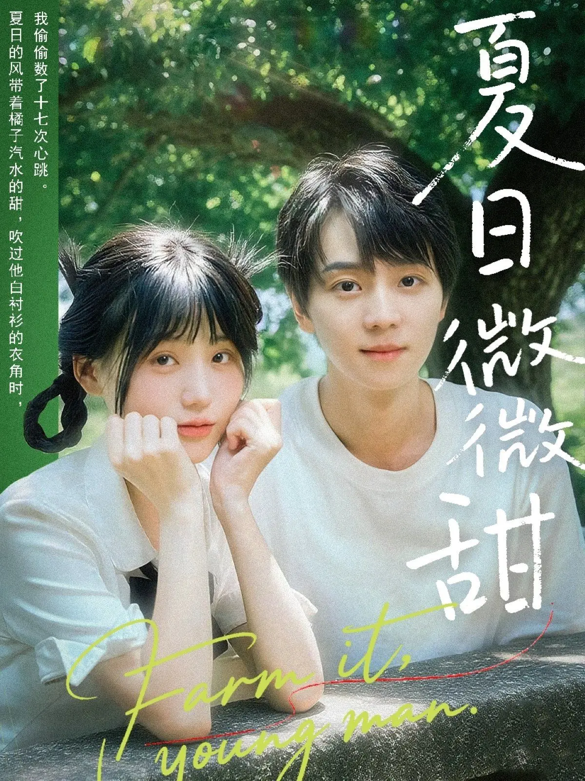 《夏日微微甜》：一口咬下去的青春滋味，甜到心坎里的恋爱物语！