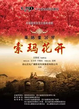 《索玛花开》：致敬平凡的伟大，一部触动心灵的治愈系女性群像电影